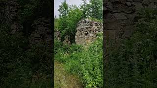 The village of Hajisamli in Azerbaijan has turned into a jungle