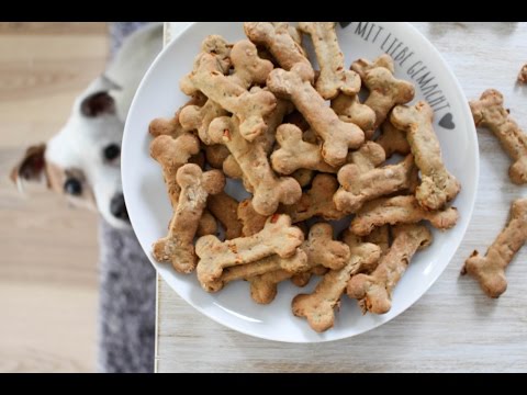 Video: Huhn-Auflauf-Hundefutter-Rezept