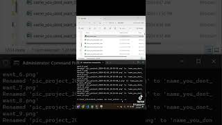 Bulk Rename All Files in a Folder