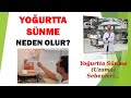 Yoğurtta Sünme (Uzama) Neden Olur?