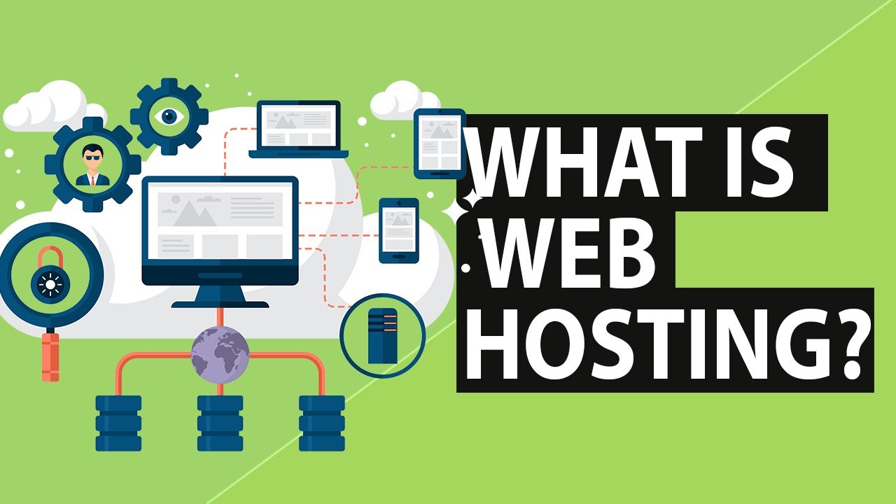 What is website. Hosting Type. Well hosting