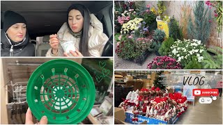 видео: Наше рабочее утро | Новые покупки для сада 🌿 корзинки для луковичных 🧅🌷 картинка: Наше рабочее утро | Новые покупки для сада 🌿 корзинки для луковичных 🧅🌷