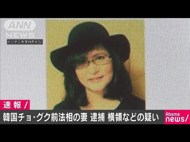 韓国チョ グク前法相の妻を逮捕 横領などの疑い 19 10 24 Youtube