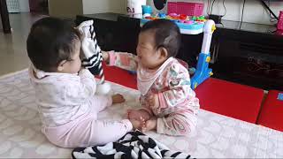 [쌍둥이육아] 쌍둥이 서로 모자 뺏기 싸움       #일란성 #쌍둥이 #육아 #목도리 #모자 #쟁탈전 #twins #baby #fight #parenting