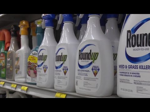 Monsanto&#39;s weedkiller deemed a &#39;substantial factor&#39; in man&#39;s cancer