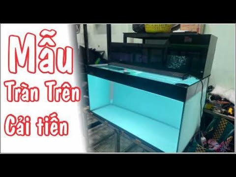 Video Rì qiu chiếc bể tràn trên Cải tiến I Hồ Cá Đoàn Chương - youtube
