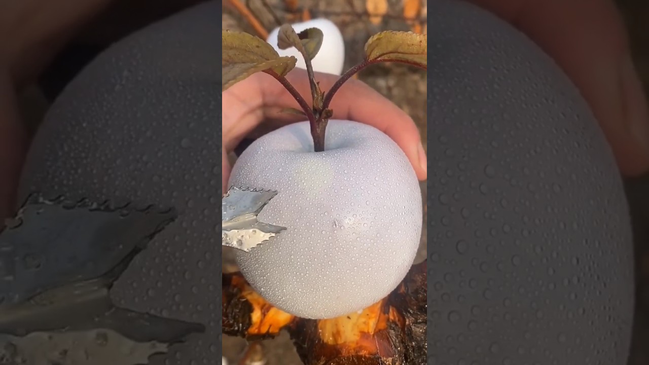 Amazing Fruit For Thought 🍓