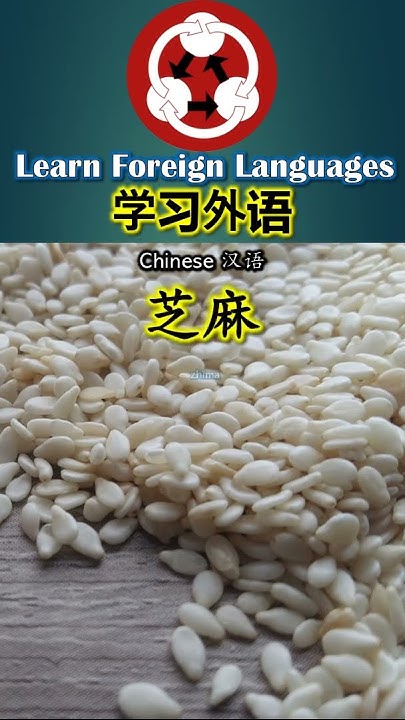 Nuts And Seeds How To Say Sesame Seed In Chinese shorts nuts-and-seeds-how-to-say-sesame-seed-in-chinese-shorts