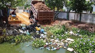 First Start Amazing PROJECT!! Filling Land Delete Deep Fish Pond Use Strong D21A Dozer & 5Ton Truck.