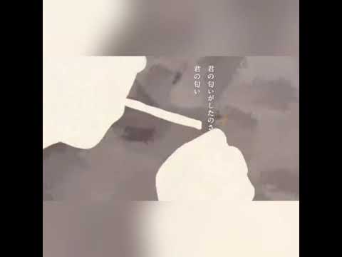 たばこ-コレサワ／ぷぅ🧸【歌ってみた】