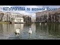 КОТоПРОГУЛКА по весенней Москве: от Патриарших прудов до балета &quot;Дон Кихот&quot; - крутой замес! ☝️😝