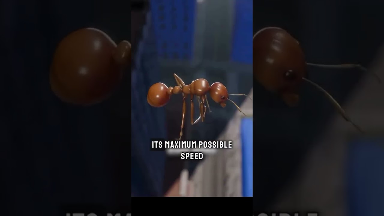 What could happen when you drop an ant from a skyscraper adlı videoyu YouTube'da izle What could happen when you drop an ant from a skyscraper adlı videoyu YouTube'da izle