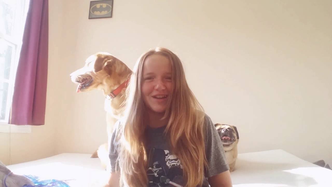 The furry friend tag ft. My puppy's!!!