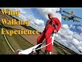 Wing Walking Experience at AeroSuperBatics Cirencester