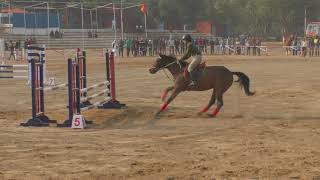 show Jumping|Ritu dahiya|horse riding|Calliber| Haryana Police Academy| screenshot 5