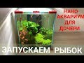 Запускаем рыбок. Нано аквариум ( 18 литров ) для дочери. Выпуск 3.