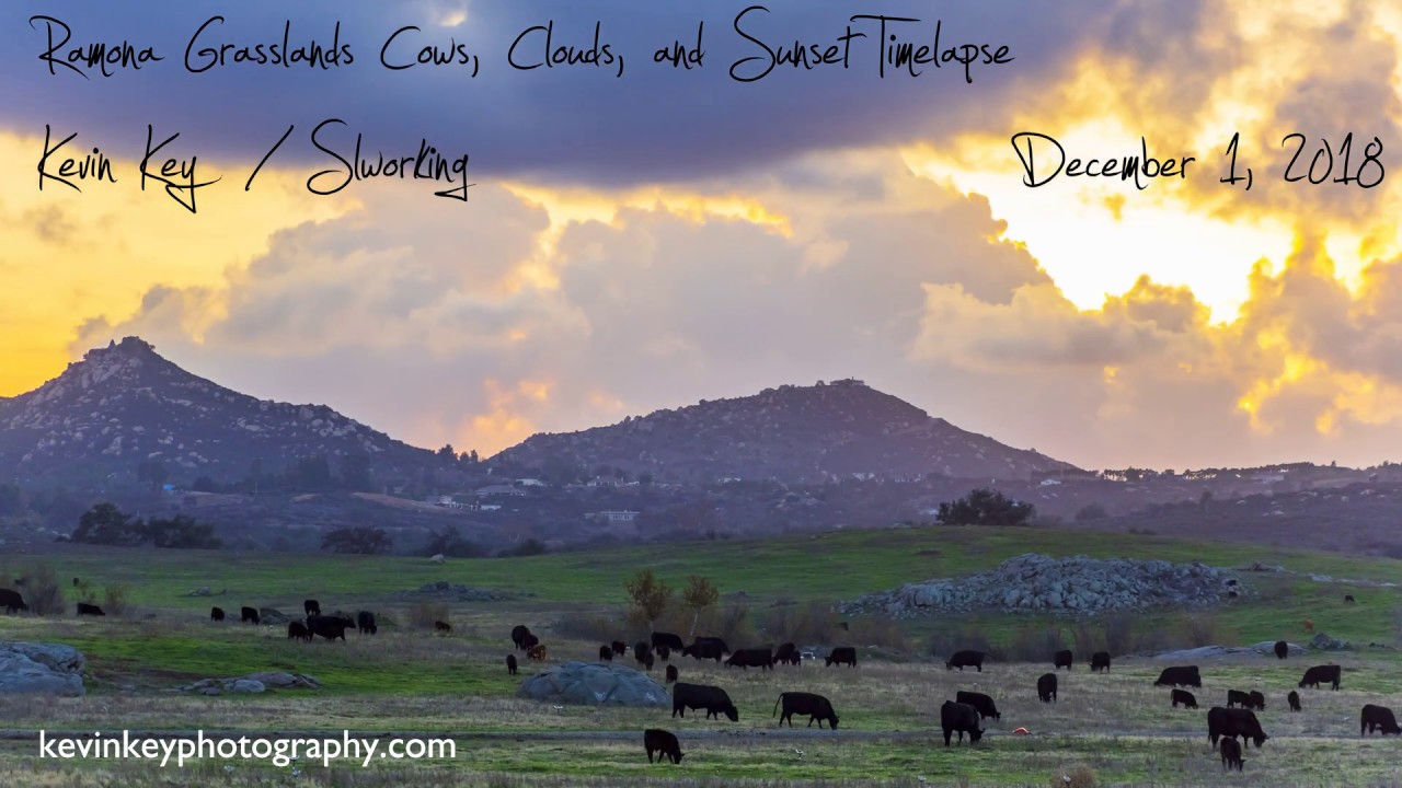 Ramona Grasslands Cows, Clouds, and Sunset Timelapse - YouTube