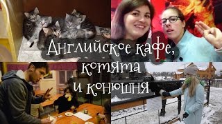 VLOG Английское кафе, котята и конюшня