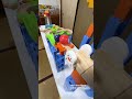 Marble Run and a Cat's Paw ☆ ASMR Video for Soothing and Laughter. Vol. 95