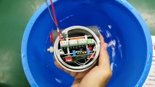Magnetrol Flow Switch Repairs by Dynamics Circuit (S) Pte. Ltd.