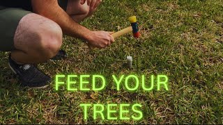 How to Install Tree Fertilizer Spikes (Oak Trees Step-by-Step Guide)