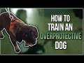 HOW TO TRAIN AN OVERPROTECTIVE DOG HOW TO TRAIN AN OVERPROTECTIVE DOG