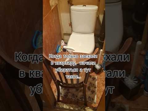 Вот такая вот