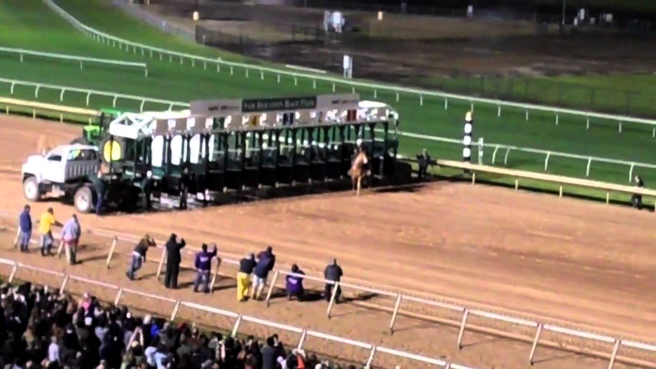 Ostrich races at Sam Houston Racetrack - YouTube