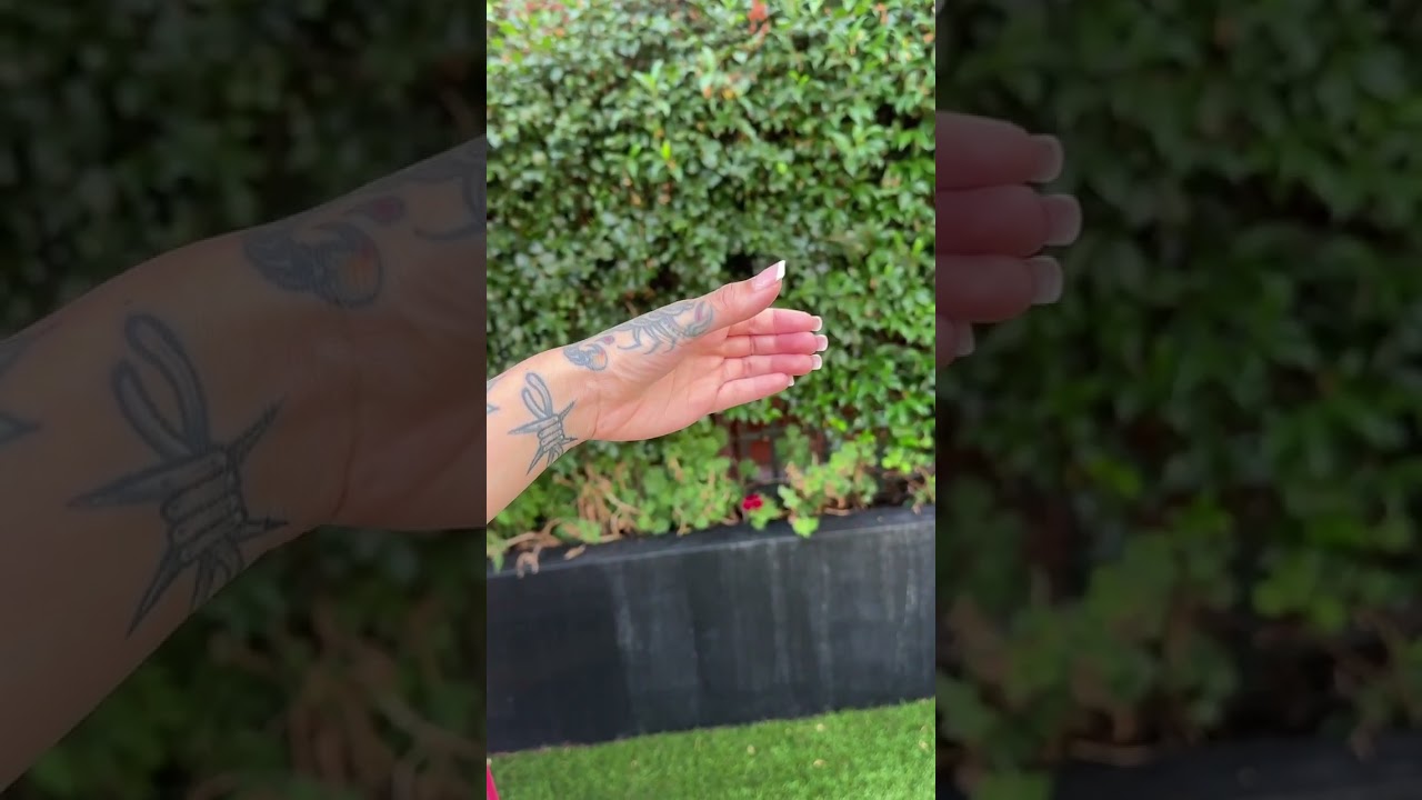 Treat her with a Rockstar Focus this 