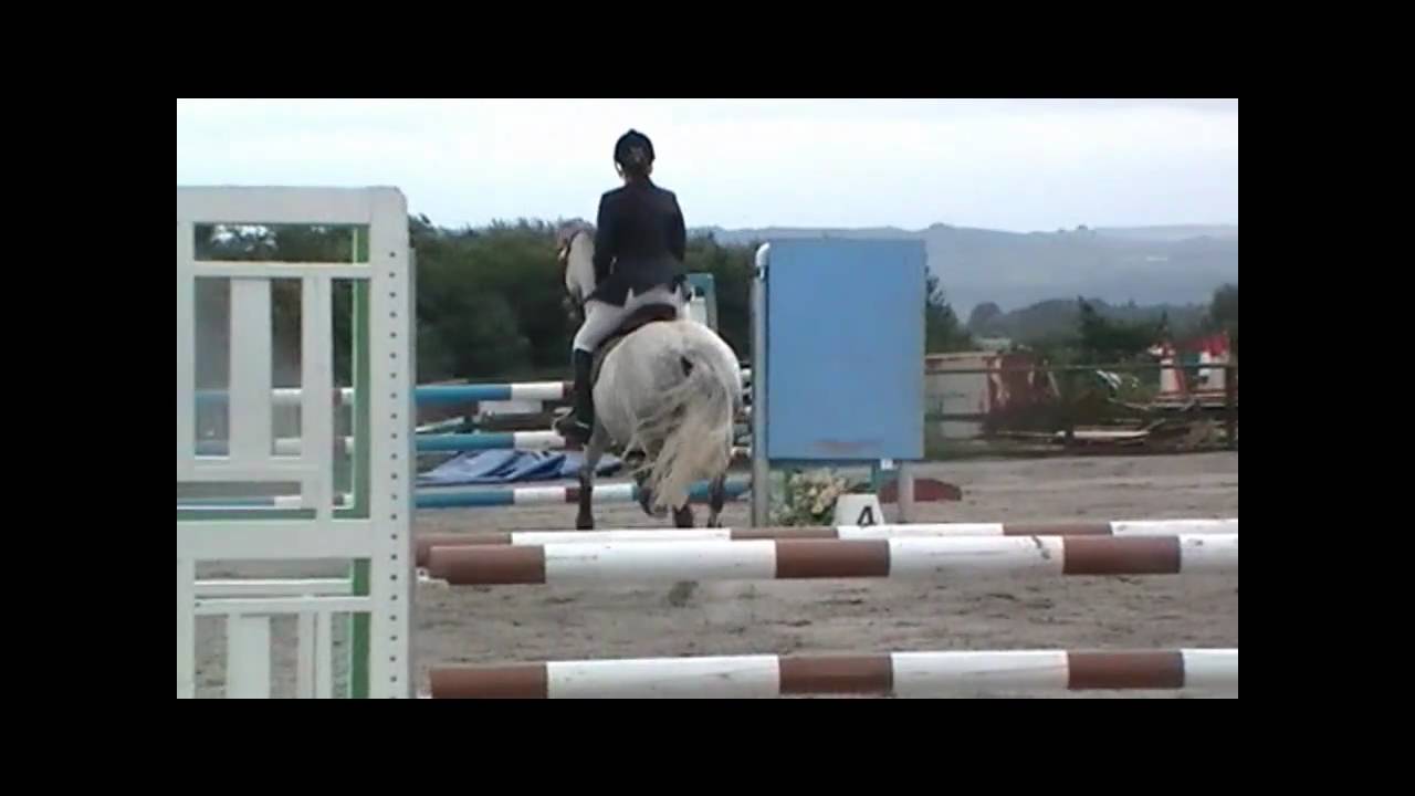 FOR SALE! 4 bsja ponies! YouTube