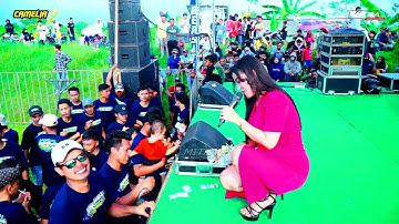 CAMELIA MUJSIC-SABILLA-SELLY PRAWOTO-HALAL BIHALAL PEMUDA SAMBUNG BERSATU