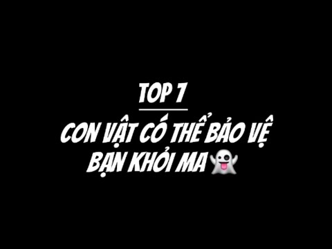 Top 7 con vật có thể bảo vệ bạn khỏi Ma 👻