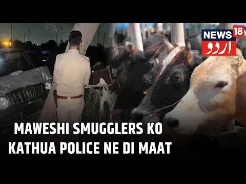 Kashmir News |