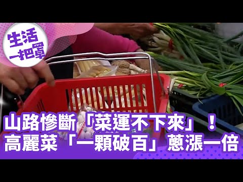 《生活一把罩》山路慘斷「菜運不下來」！ 高麗菜「一顆破百」蔥漲一倍