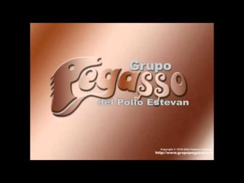 pegasso  del pollo estevan..dos llantos