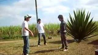 Rebolation Boy'z [Festa do Ta Fikando Preto]*