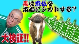 【あばれる君の実写版マジで!!まじめくん！】マジ語まじめにやってみた「馬の耳に念仏」