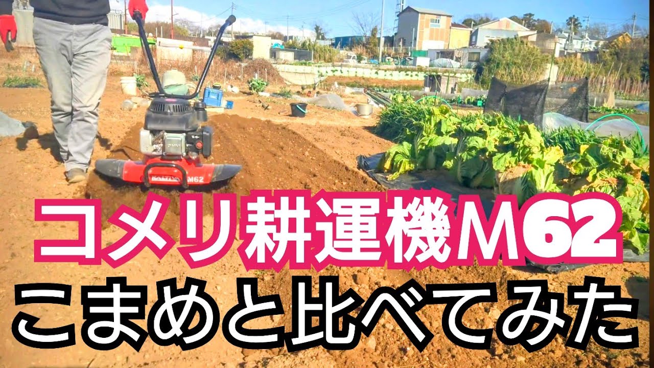コメリ耕運機カルティバМ62vsホンダこまめ　果たして結果は!?