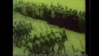 Azerbaycan Prezident Mehemmed Emin Resulzade