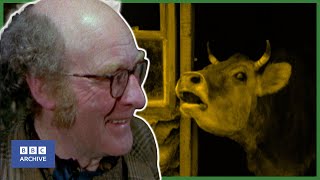 1975: "Crank Peasant" JOHN SEYMOUR on SELF-SUFFICIENCY | Living on the Land | BBC Archive