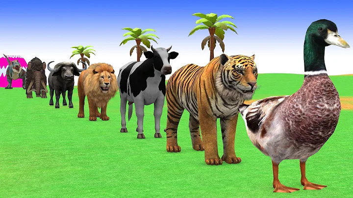 Long Slide Game with Cow Elephant Gorilla Hippopotamus Tiger 3d Animal Game Funny 3d Animals
