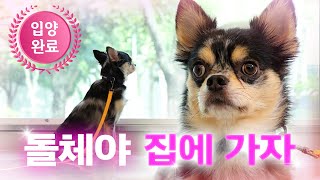 Dolce Looking for Its First Love [Let's Go Home] EP.2