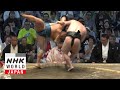 GRAND SUMO Day 11 Of The July 2025 Tournament GRAND SUMO Highlights GRAND SUMO Day 11 Of The July 2025 Tournament GRAND SUMO Highlights