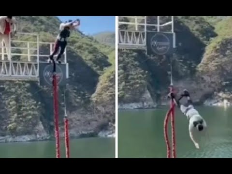 Así ha sido el impresionante salto al vacío de la princesa Leonor tras concluir su formación en paracaidismo