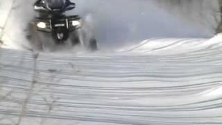 Arctic Cats Tiger Trax System