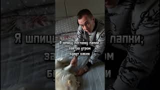 Как разбогатеть / тгк iampaha #рекомендации #shots #shorts