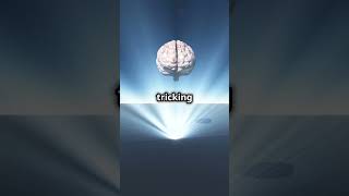 Mind Blowing Checker Shadow Illusion! #eyeshadow #subscribe #fun #facts #mindblowing #shorts