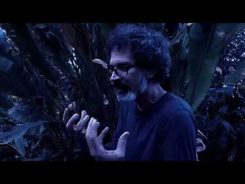 Thumbnail do vídeo