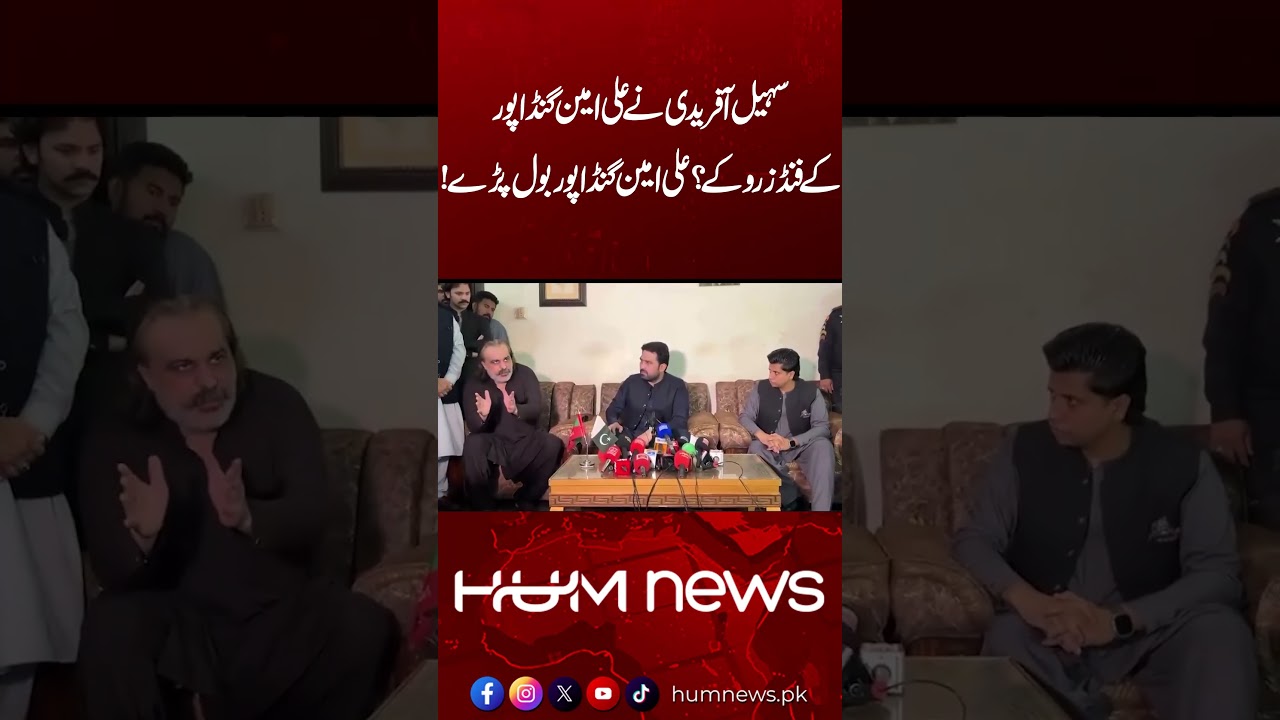 Did Sohail Afridi Block Ali Amin Gandapur’s Funds? | Gandapur Breaks His Silence | Hum News