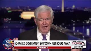 "THIS IS INSANITY" Newt Gingrich ridicules Democrats' handling of shutdown on Capitol Hill